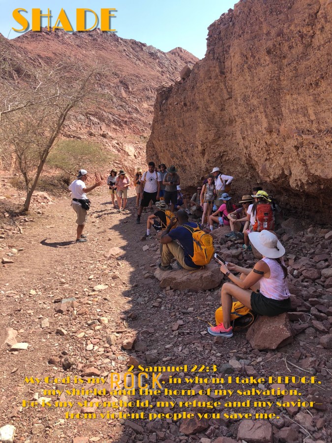 Truth: God is always Faithful—even in the&nbsp;pandemic.